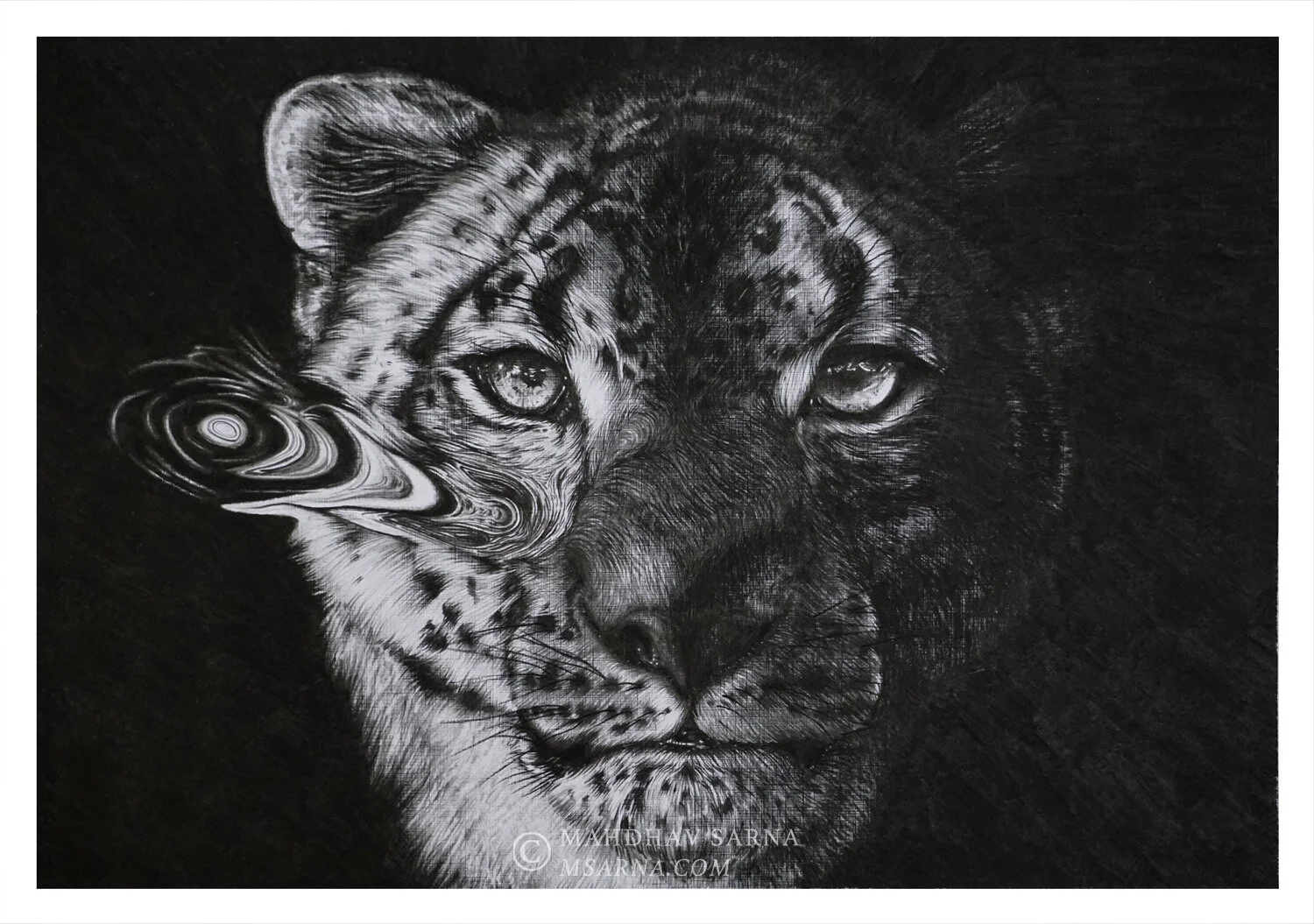 Snow Leopard Drawing | EGSL — Mahdhav Sarna